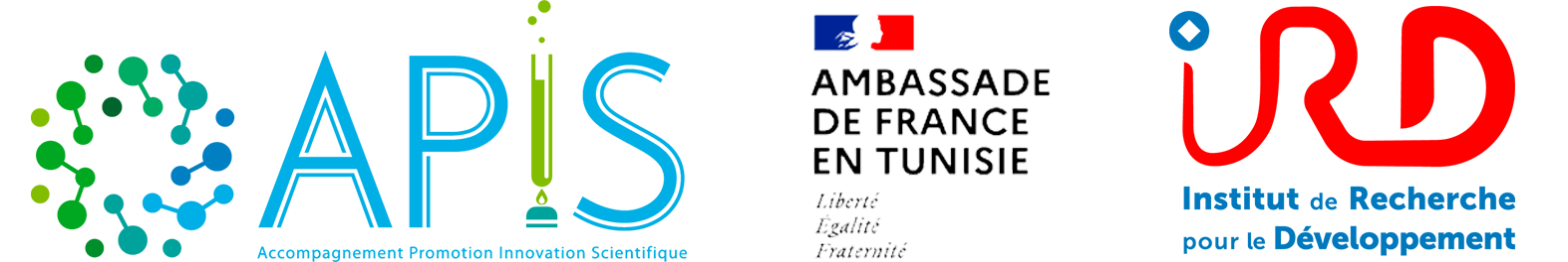 PROJET PILOTEAU